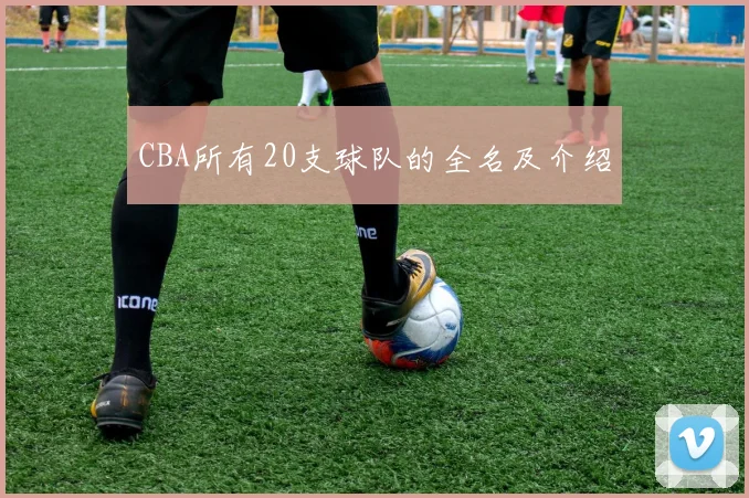 CBA所有20支球队的全名及介绍