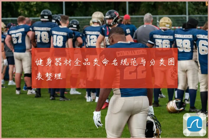 健身器材全品类命名规范与分类图表整理