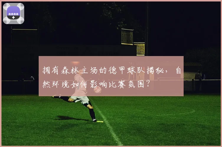 拥有森林主场的德甲球队揭秘,自然环境如何影响比赛氛围?