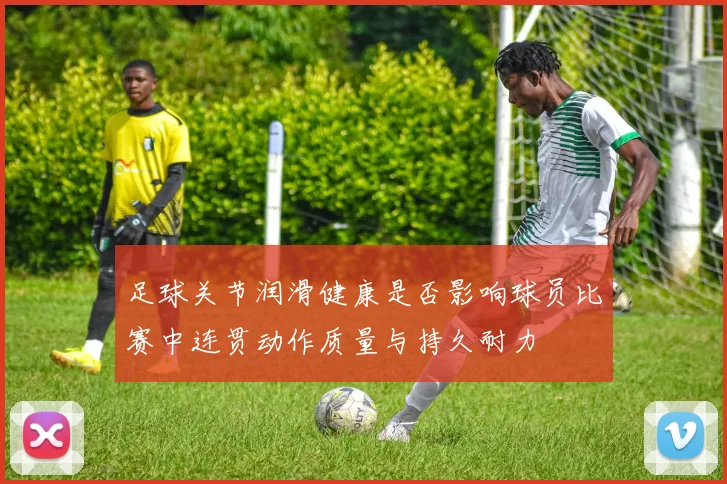 足球关节润滑健康是否影响球员比赛中连贯动作质量与持久耐力