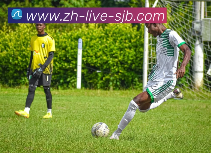 世界杯买球APP 封面图